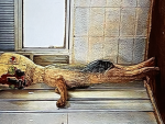 Scp 173’s fan group