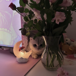 >⩊<