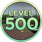 Level 500