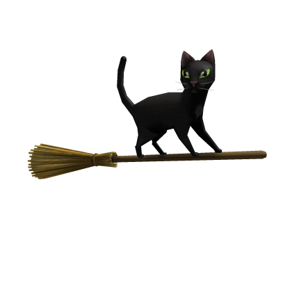 Magic Broom Black Cat