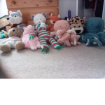 Teddys are amazing