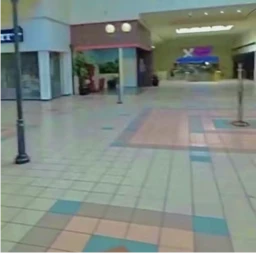 Mall of the Damned icon
