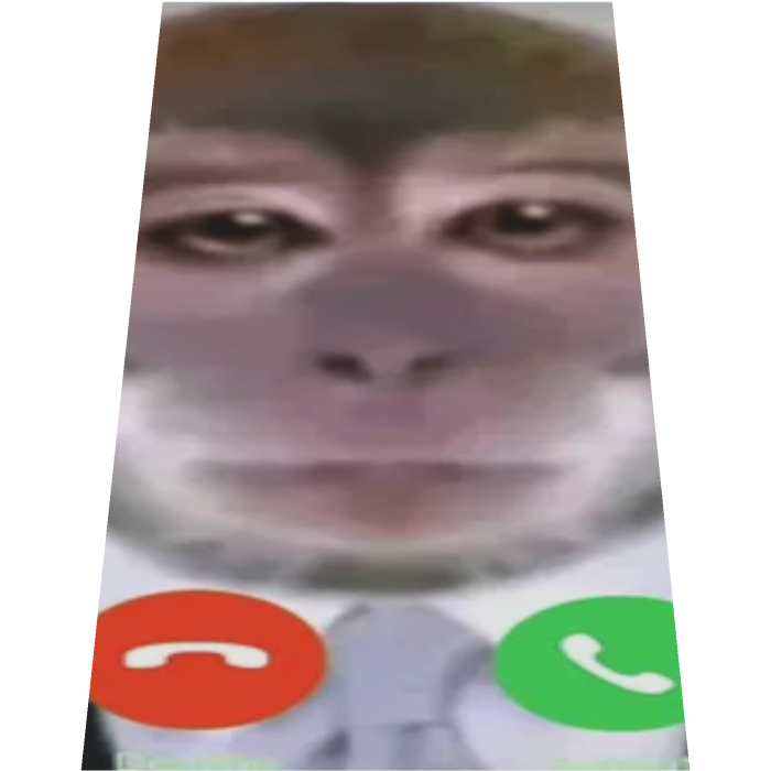 Monkey is Calling Cape