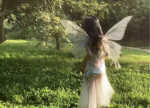 fairy pookies