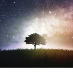 Society Of The Dreaming