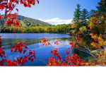 Nature's True Beauty