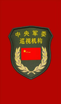 .中央巡视组.