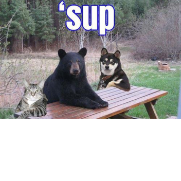 Welcome To My Profile