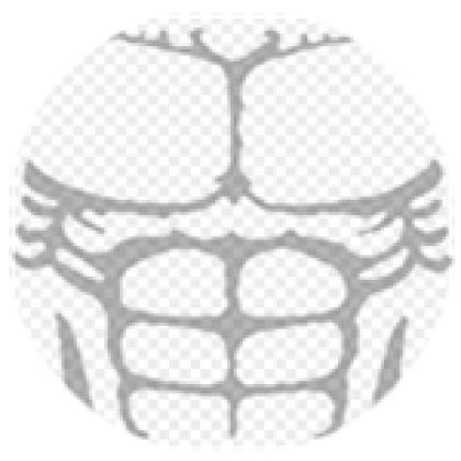 muscles Roblox