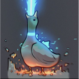 DUCK donation
