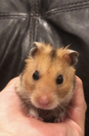 AXOS<3