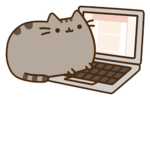 Kawaii Kitty's