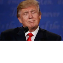 ♡ Escape Donald Trump ♡ icon