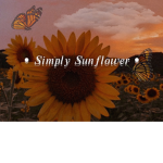 Simply...Sunflower