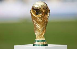 Yippee fifa