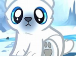 Polar Bear Fan Group!!
