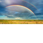 the end of the rainbow offical group