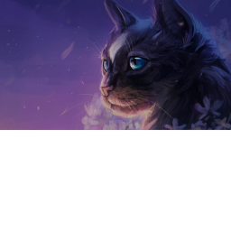 KittyxGalaxyy's Place Number: 1