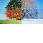 Seasonall