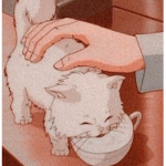 F L E E K