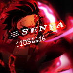 ッSENYA