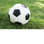 Soccer bros