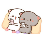 Cat fanssss!!
