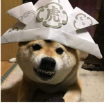 the doge strike back