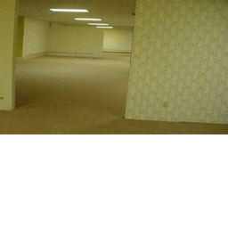 The Backrooms