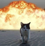 sub$equent kitty