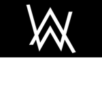 walker fans goup