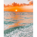 Sunsets x