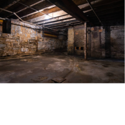 De cool mens Basement