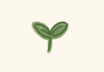 Mint’s Leafs