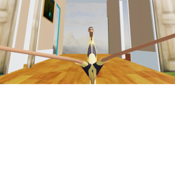 J’s combat arena