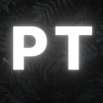 Pugtes Server