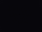 SanJoseCrazyCryps