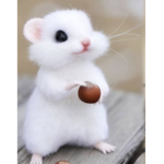 Gaming with ilikelatek111