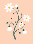 ~Floral Dance And Gymnastics~