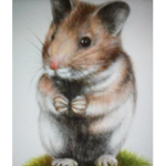 The Hamster Nation of the World