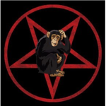 Monkeys Cult
