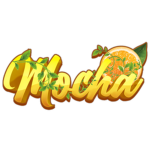 .Mocha.
