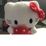 Layla’s Sanrio Group!