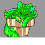 Club Cacti