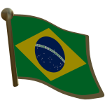 Brazil's Label Pin