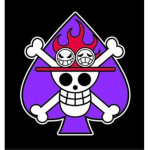 The Redbeard Pirates