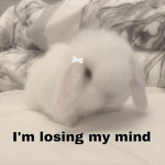 BUNNIC!