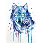 WOLF NATION/TP SQUAD