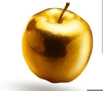 Golden Apple Construction Co.