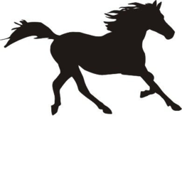 {: Oakville Equestrian's Horse Show :}